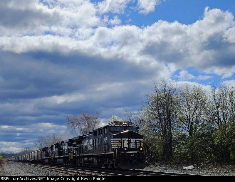 NS 4010